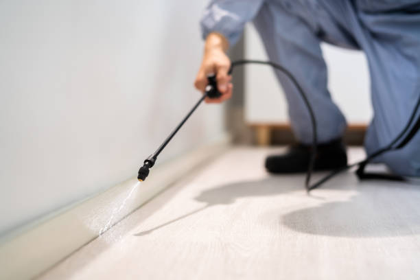 Professional exterminator conducting IPM assessment in Highland City